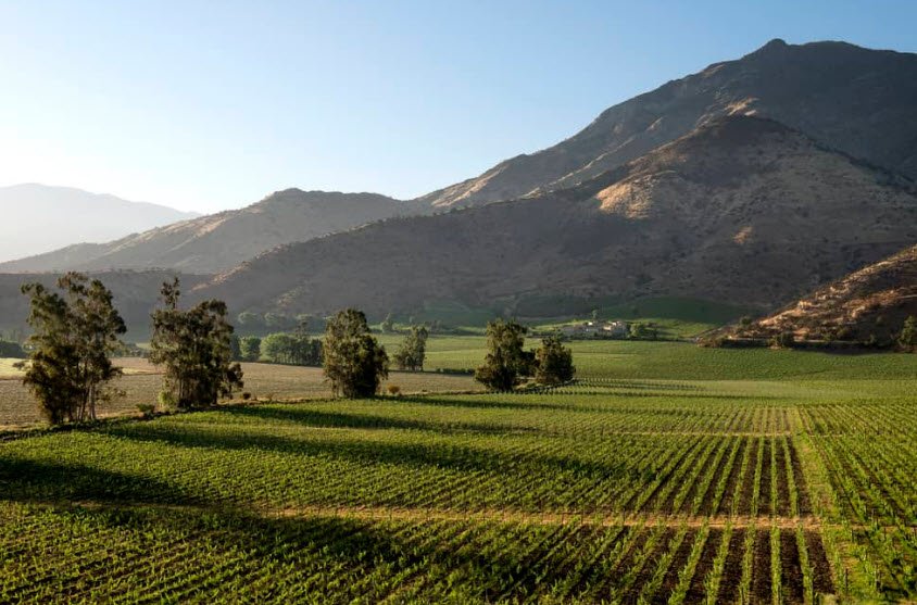 Maipo Valley, Near Santiago, Chile